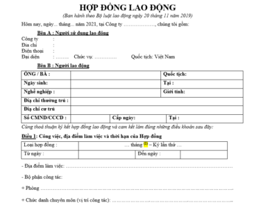 hợp đồng lao động 2021
