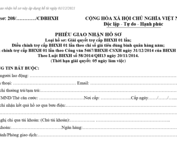 mẫu hồ sơ 208