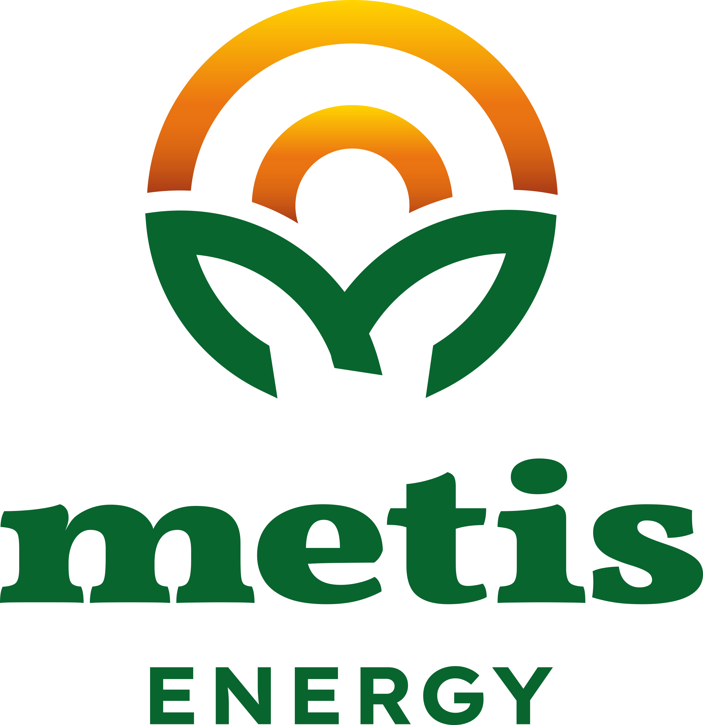 Partner Metis